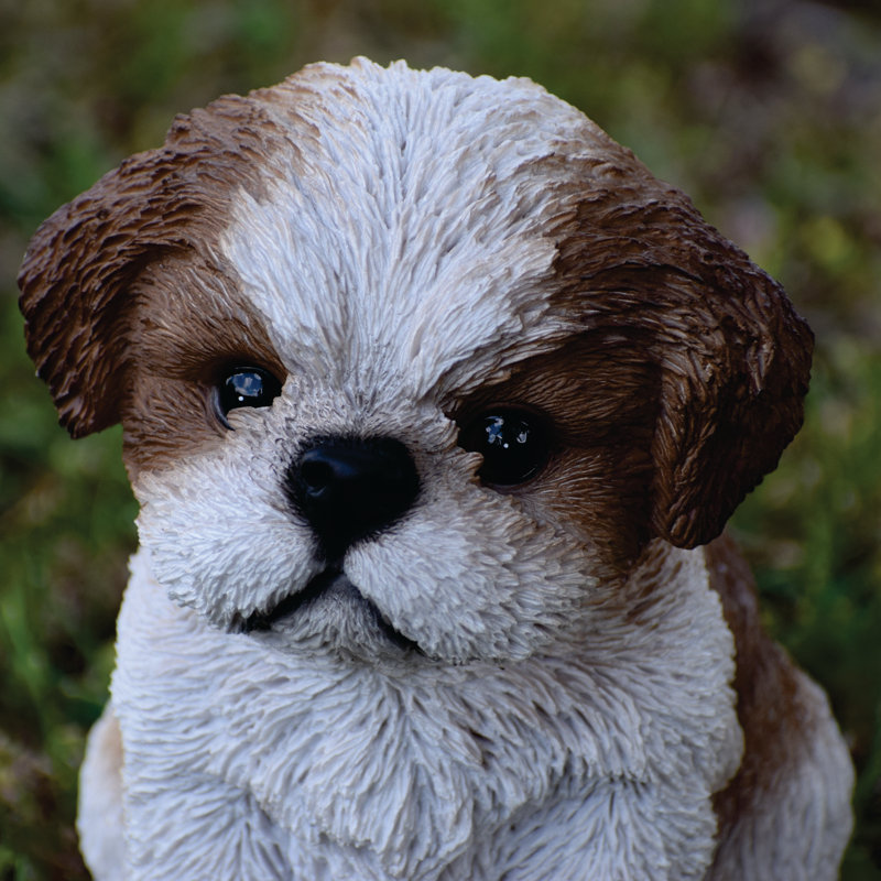 Statue de chiot Shih Tzu assis, Brun / Blanc