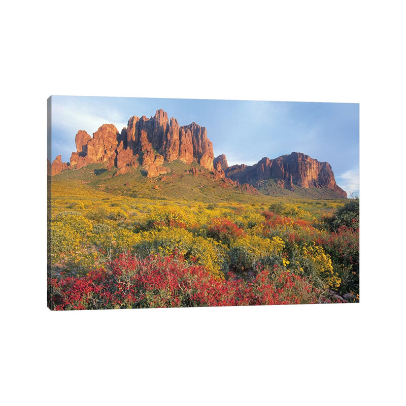 Chuparosa And Brittlebush, Superstition Mountains, Arizona by Tim Fitzharris - Wrapped Canvas Print, 20.32 cm H x 30.48 cm W