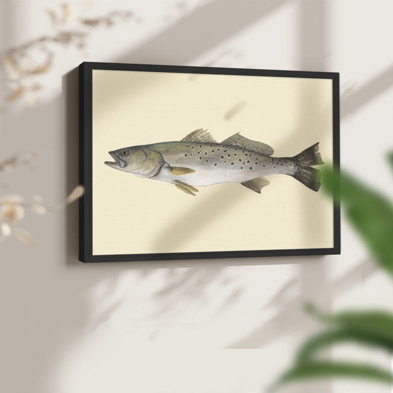 Saltwater Species II -Framed Print - Restickable, H 22 po x l 28 po, Noir, noir, noir, noir
