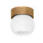 ODIN Flush Mount-639898943