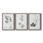 «Botanical Imprint I», ensemble de 3 peintures sur toile encadrées-1473007695-1473007693