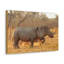 No Frame Print on Canvas-975825542