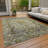 Machine Washable Indoor/Outdoor Xhevrie Pewter Rug-1578652037