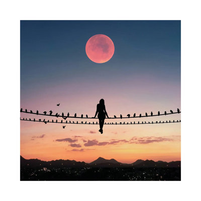 Bird On The Wire by Abdullah Evindar - Wrapped Canvas Print