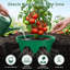 Anneaux de culture 10 po réglables avec pelle à main, anneaux de protection des plantes emboîtables