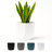 Tuxton Geometric Plastic Indoor/Outdoor Planter-98807279-98807278