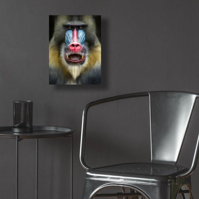 " Mandrill 2 " by SD Smart