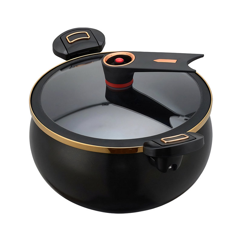 Living And Home Stock Pot, Black