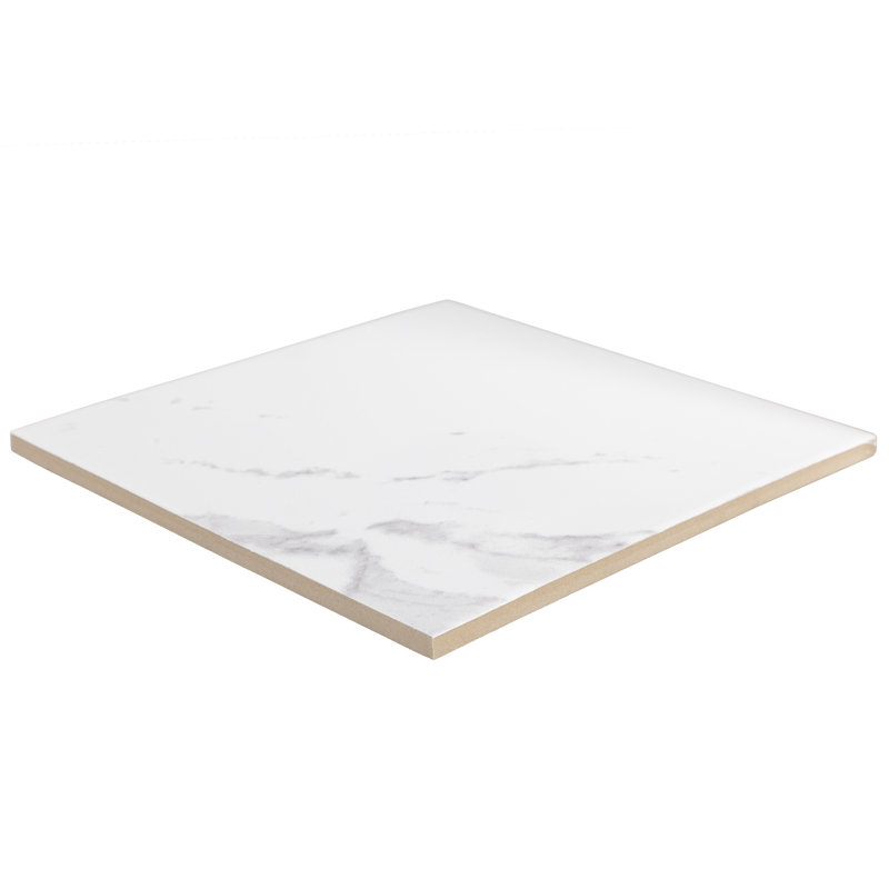 Carreau de mur et plancher en porcelaine biseauté 9 "x 9"