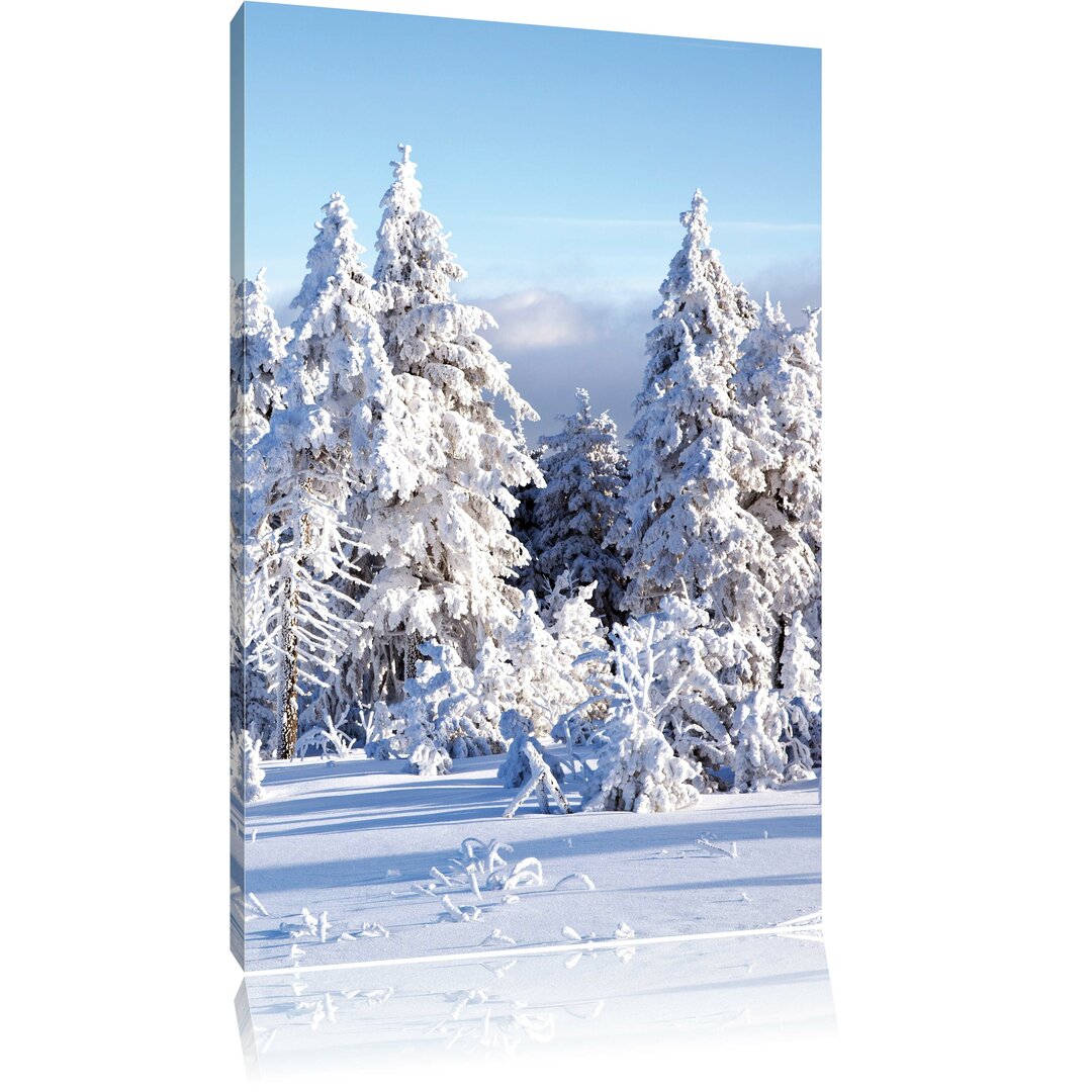 Leinwandbild Winterwald, Fotodruck