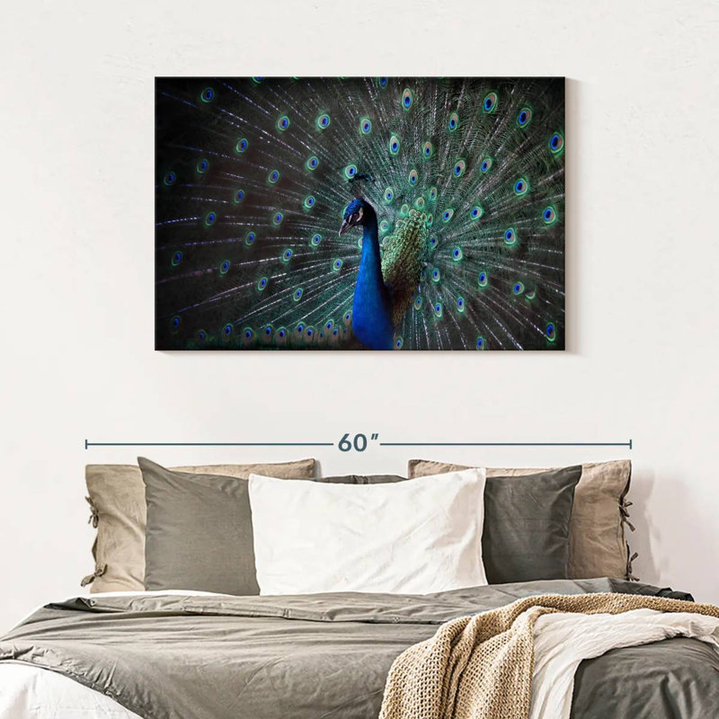 Noble Blue Peacock, 30" H x 45" W