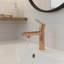 Robinet pour salle de bain à poignée simple deux-en-un Fountain and Flow-120650299
