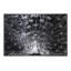 Silver Plumage Print