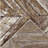 Forkland Beige/Gold Indoor/Outdoor Area Rug-477174106