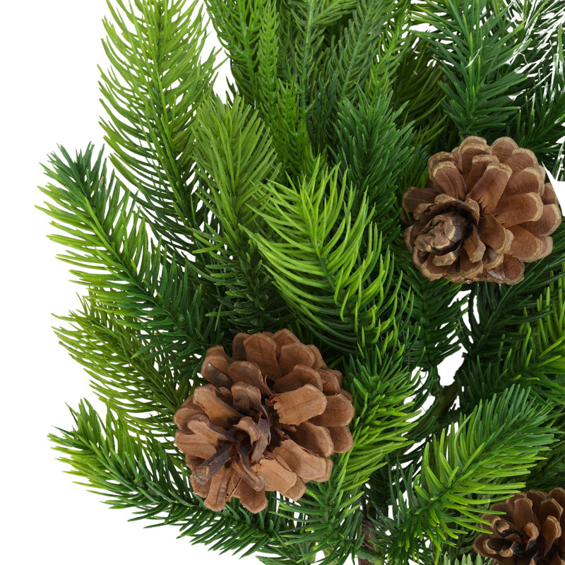 Norfolk Spruce Juniper Spray