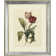 Tulips III - Single Picture Frame Print on Canvas