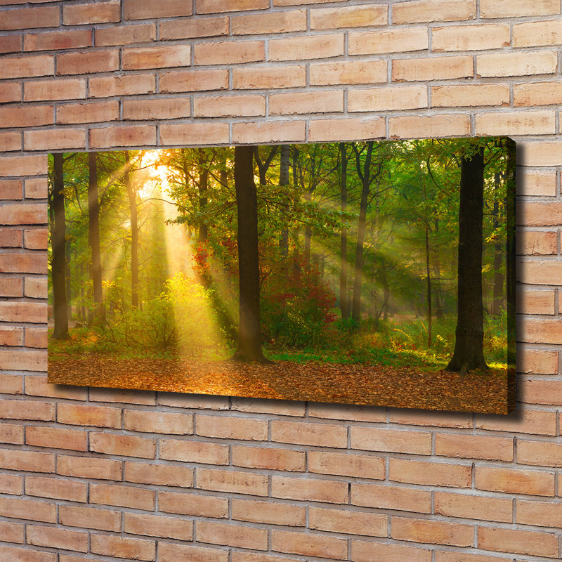 Forest In The Sun - Wrapped Canvas Print