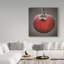 « red pomme », reproduction de photo sur toile-25674313