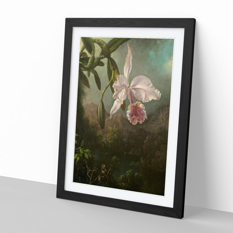 Orchid Blossoms by Martin Johnson Heade - Framed Print, 65cm H x 48cm W x 2cm D, Black Framed