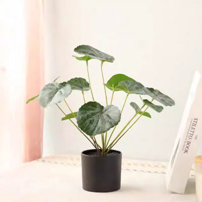 Ornements de petites plantes en pot