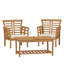 2 CHAISES CLUB CAYDON + TABLE