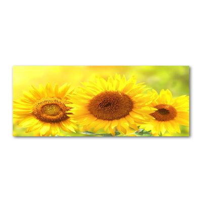 Sunflowers - Wrapped Canvas Print