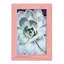 Pastel Succulent Beauty IV, reproduction d'art encadrée-251428981-251428988