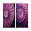 Nautilus prune coquillages - ensemble de 2 reproductions d'art sur toile Nautilus-1139582033-1139582035