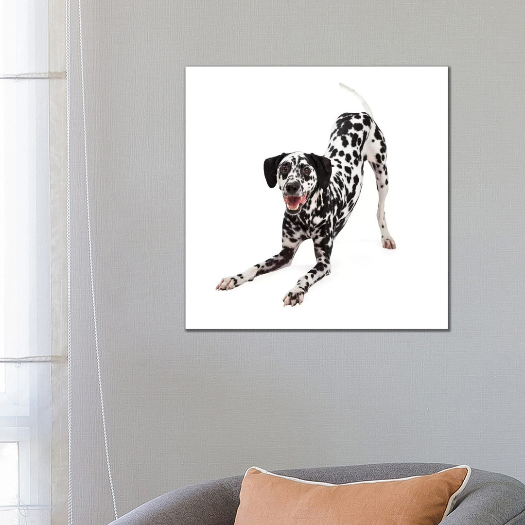 Verspielter dalmatinischer Hund mit Verbeugung von Susan Richey - Galerie-verpackte Leinwand Giclée