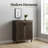 Clackamas Smoked Oak 2-Door Freestanding Storage Cabinet with Adjustable Shelves - Mid-Century Modern Engineered Wood Shoe Organizer for Entryway Living Room-655514393-655514397