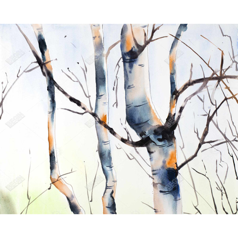 Three Small Birch Trees Print On Canvas