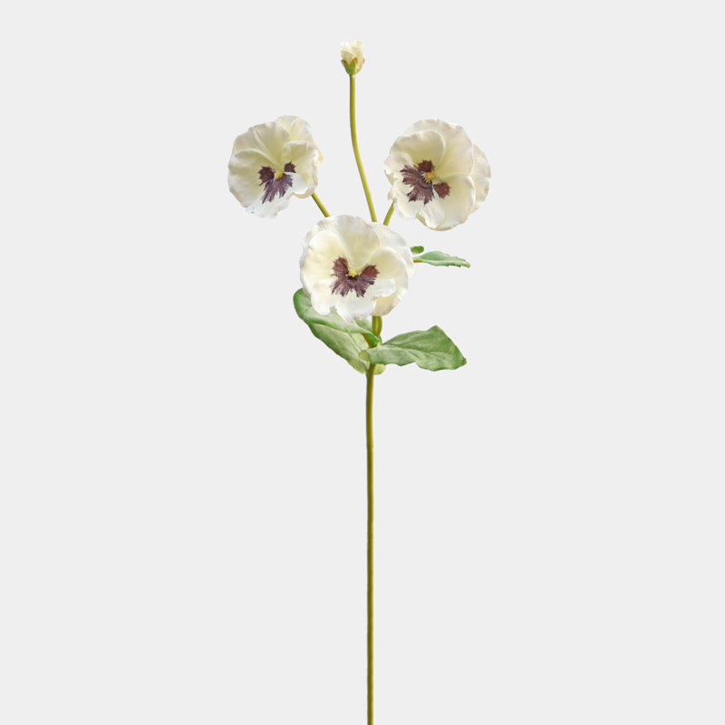 fausse pensée blanche 21 po, White