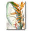« Tropical Variety III », reproduction d’art sur toile tendue-298699193