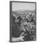 Chollo Cactus 1 Piece Single Picture Frame Wall Art-1567250676