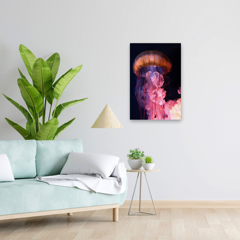 Gelly - photographie d'art animalier, H 24 po x l 16 po