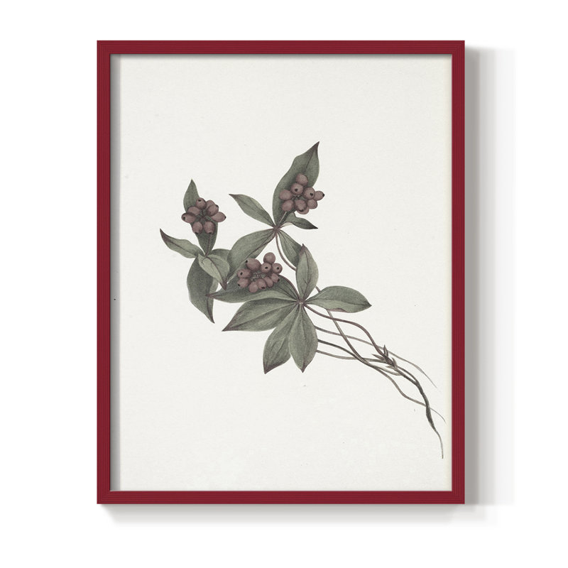 Impression florale vintage encadrée CLXV III - bois massif, H 11 po x l 9 po, Rouge