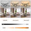 Braylea 5 - Light Unique/Statement Chandelier