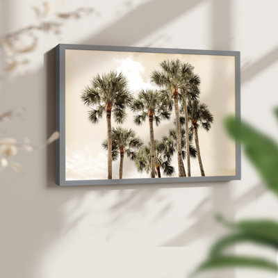 Blush Palms - reproduction encadrée - réarmable