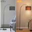 Lampe sur pied arquée 71 po Regginal
