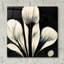 «Flowers Black White 13» par Ray Heere-2093346381