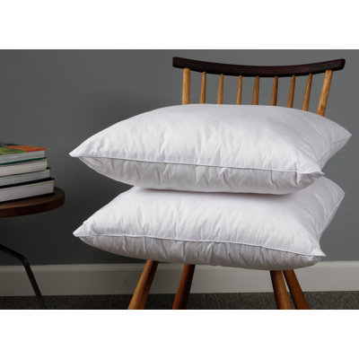 Wayfair Basics® Didomenico Euro Square Pillow Insert