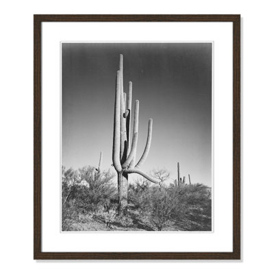 Saguaro National Monument Print by Ansel Adams