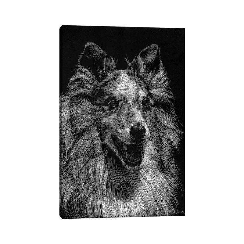 Canine Scratchboard VIII by Julie T. Chapman - Wrapped Canvas Print, 20.32 cm H x 30.48 cm W