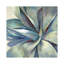 «Succulence II» par Aimee Wilson - Reproduction giclée sur toile tendue avec châssis-71546361-31874614