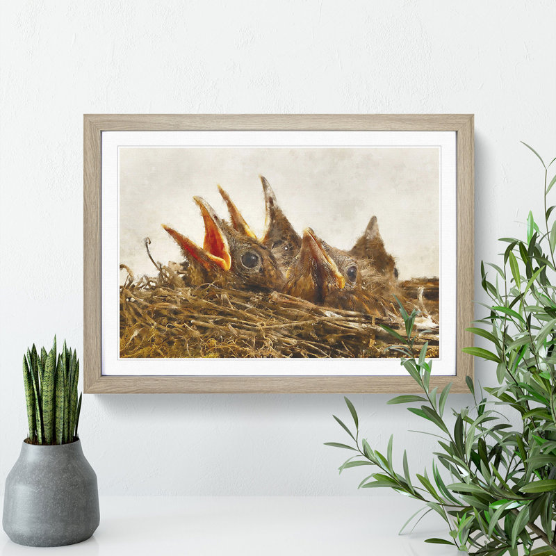 Baby Birds in the Nest - Picture Frame Painting, 36cm H x 48cm W x 2cm D, Oak Framed