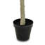 Faux Eucalyptus Tree-Faux Eucalyptus Tree-9'-2137347368