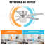 Caenas 52'' Ceiling Fan with Light Kit