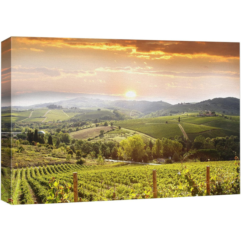 Vineyard In Tuscany, Italy, Nature, paysage, grande galerie, reproduction d'art sur toile tendue