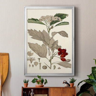 Leaves & Berries I, reproduction d'art encadrée