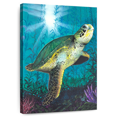 Tortue Brampt sous l'eau